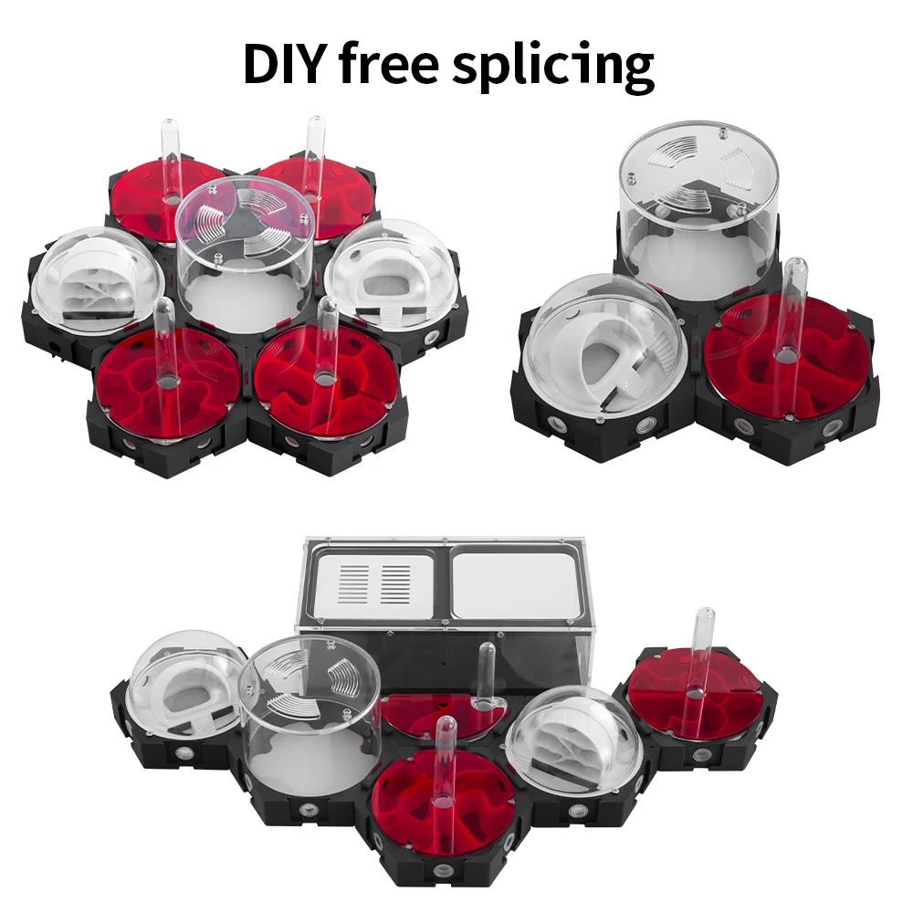 3D Printing Ant Nest Infinitel - đánh giá và giá Begonia Rex