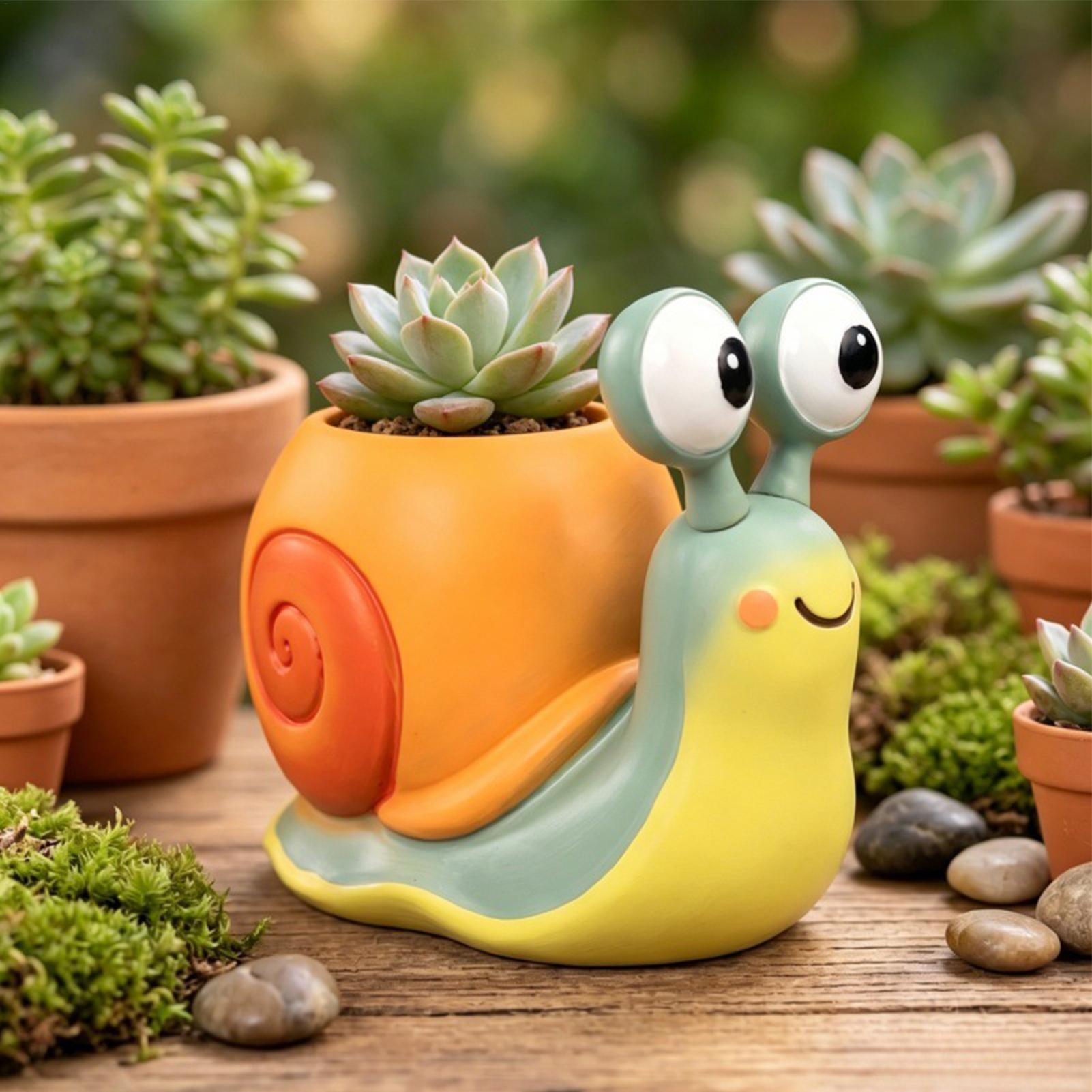 Snail Shape Flower Pot Snail f - đánh giá và giá Echeveria Succulent