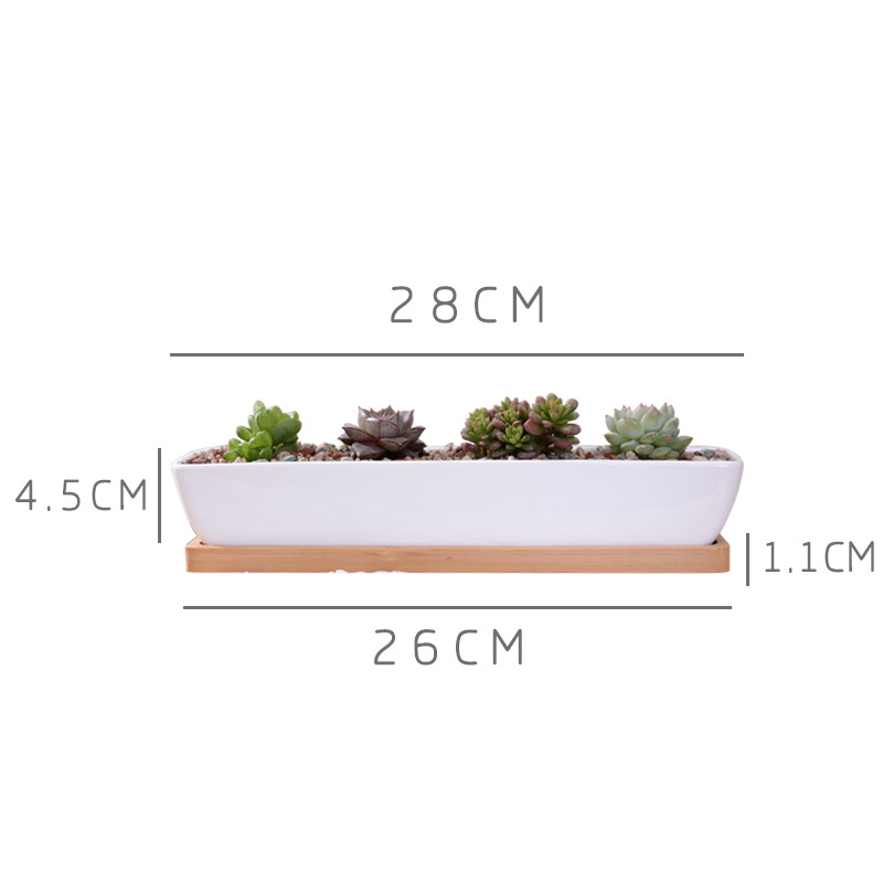 1 Bộ Tối Giản Hình Học Gốm Sứ  - đánh giá và giá Aloe Vera Pot