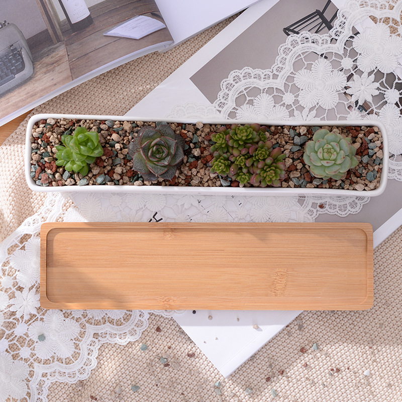 1 Bộ Tối Giản Hình Học Gốm Sứ  - đánh giá và giá Aloe Vera Pot