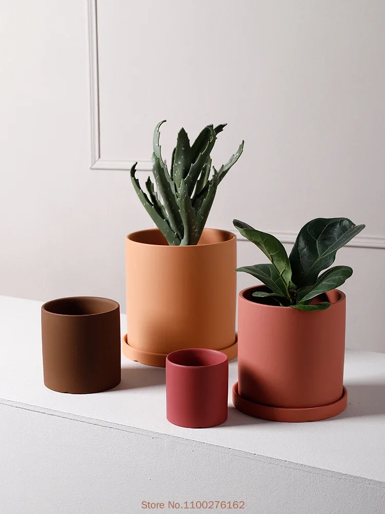 1pc New Pure Color Ceramic Flo - đánh giá và giá Echeveria Succulent