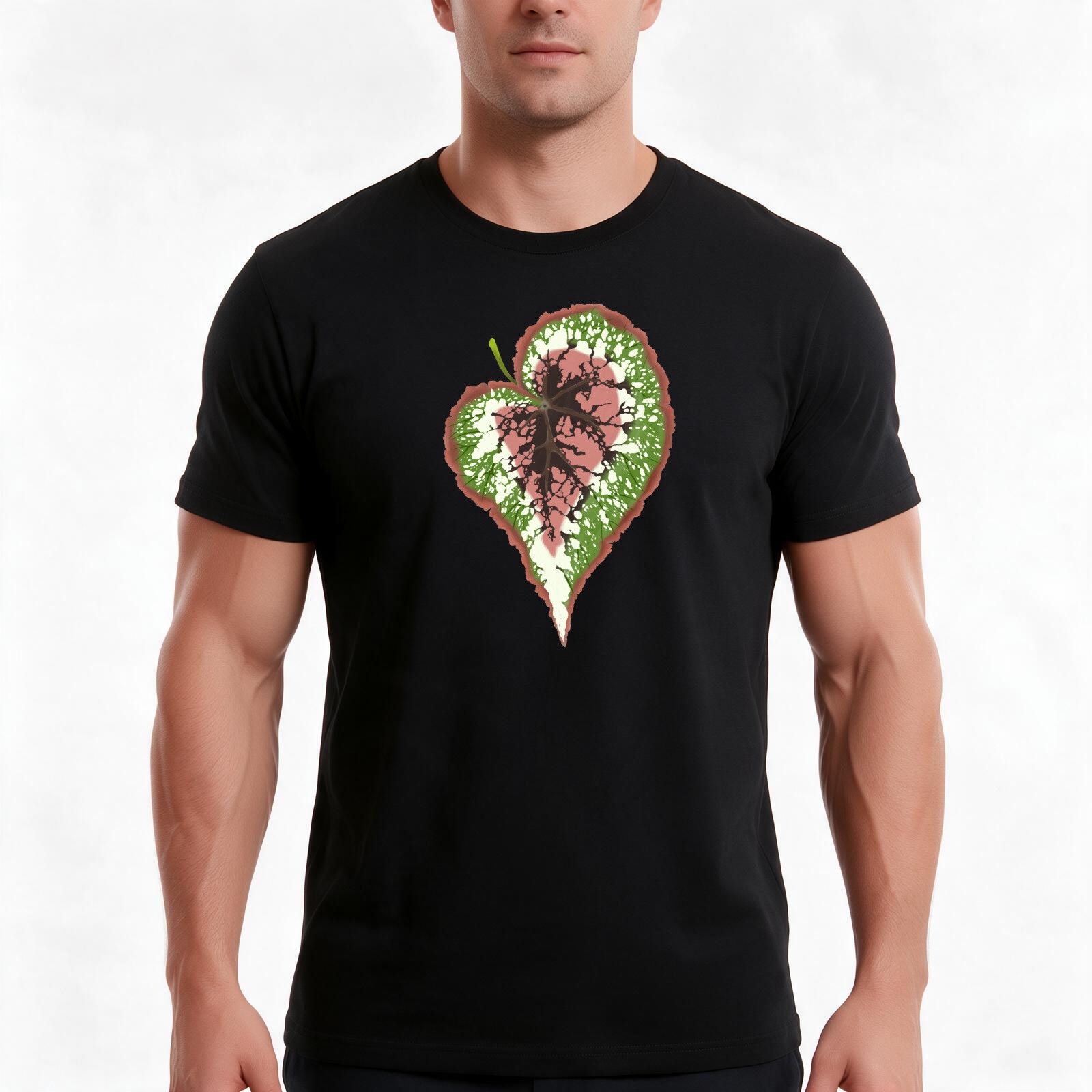 Begonia Rex T-Shirt, Summer Ca - đánh giá và giá Begonia Rex