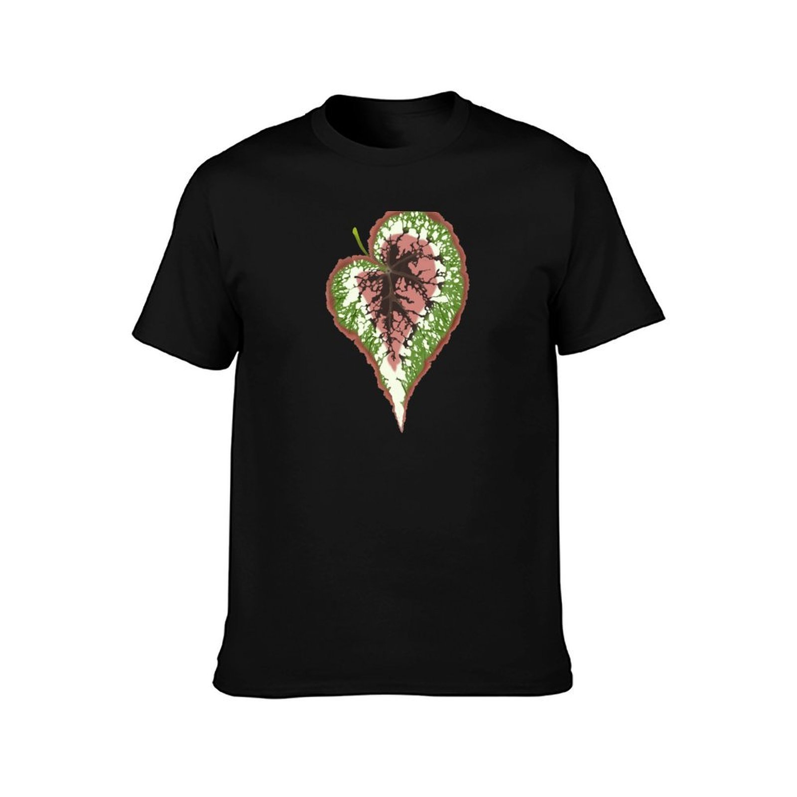 Begonia Rex T-Shirt, Summer Ca - đánh giá và giá Begonia Rex