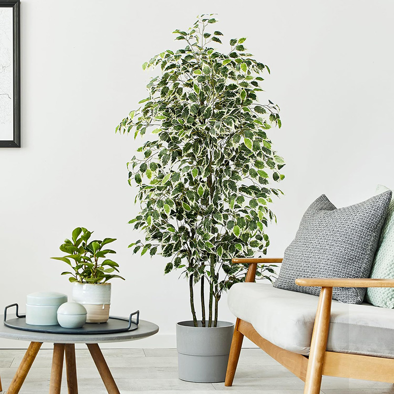 70in Artificial Ficus Tree Fau - đánh giá và giá Ficus Lyrata Tree