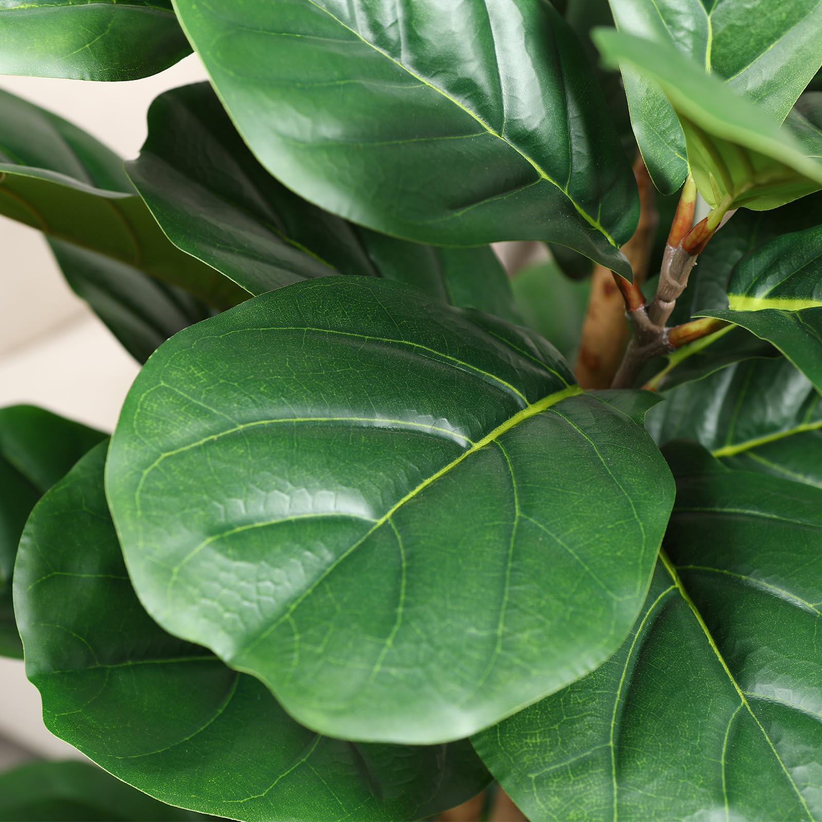 Artificial Fiddle Leaf Fig Tre - đánh giá và giá Ficus Lyrata Tree
