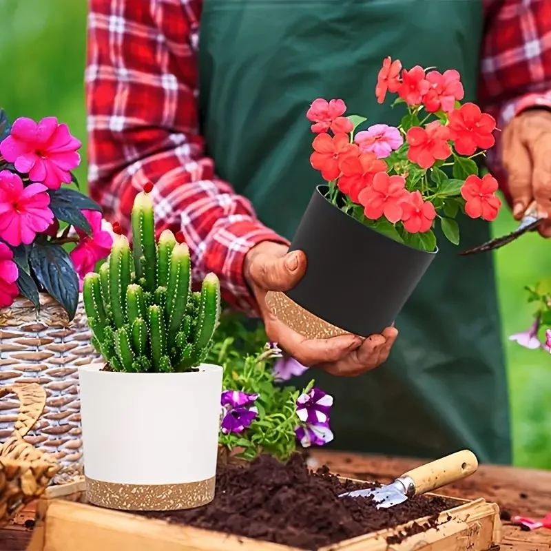 Plant Pot, 2 Pack Planters for - đánh giá và giá Aloe Vera Pot