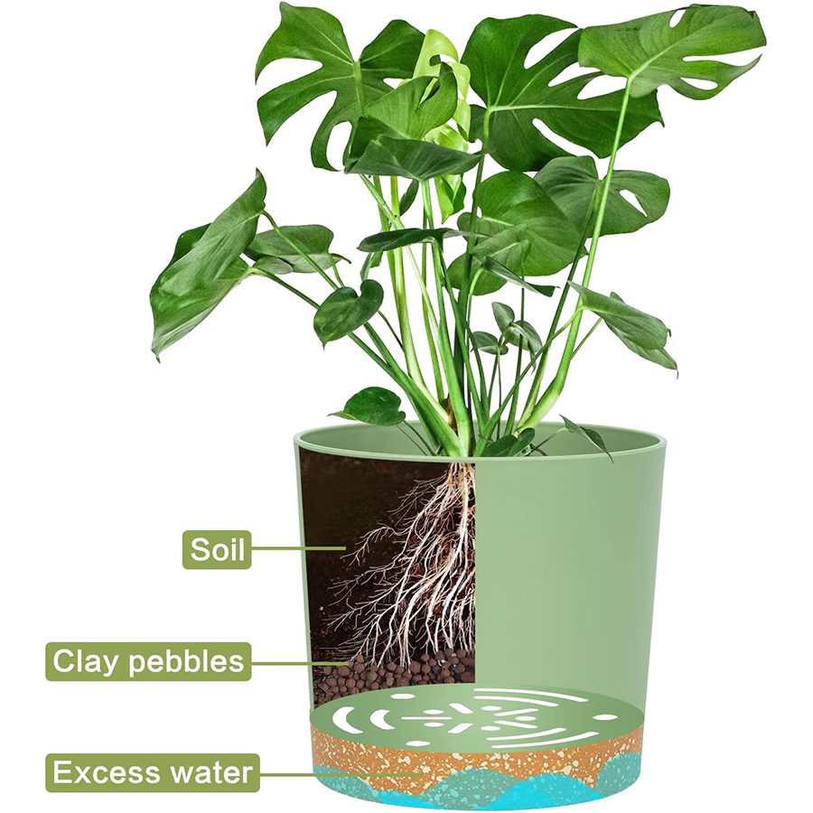 Plant Pot, 2 Pack Planters for - đánh giá và giá Aloe Vera Pot