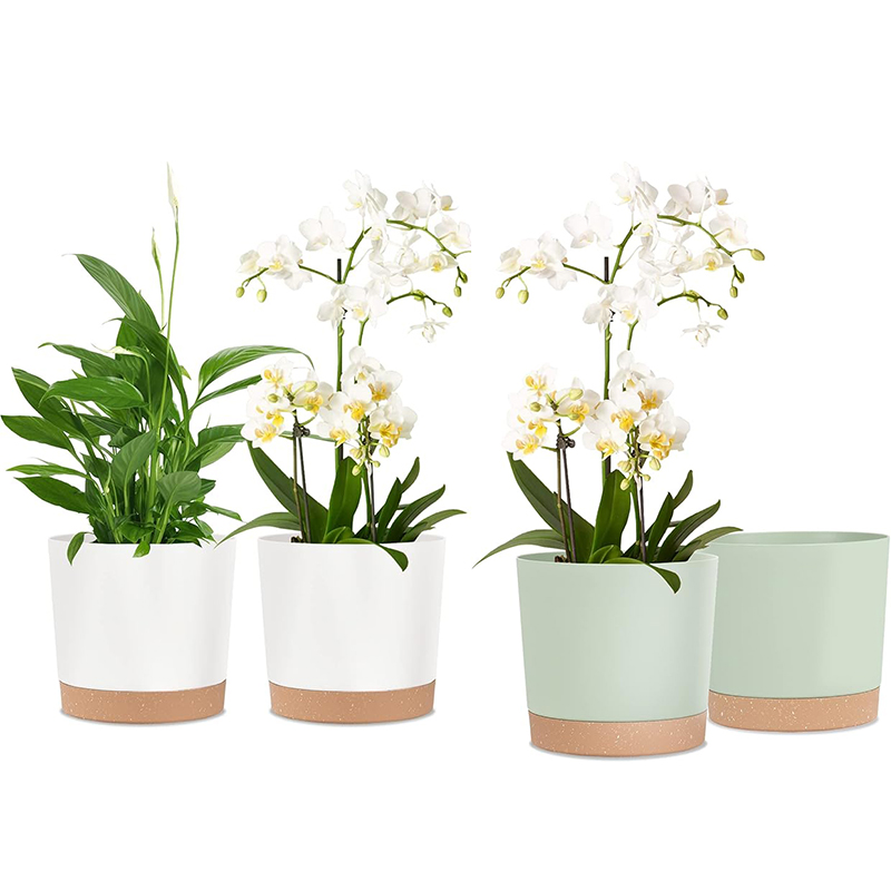 Plant Pot, 2 Pack Planters for - đánh giá và giá Aloe Vera Pot